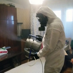 Дезинфекция от клопов в Лыткарино