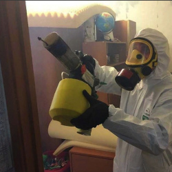 Уничтожение клопов в квартире. Лыткарино